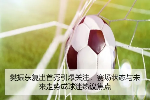 樊振东复出首秀引爆关注，赛场状态与未来走势成球迷热议焦点